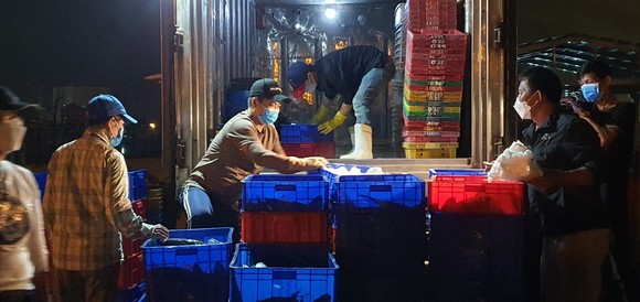 Xuyên đêm lấy mẫu xét nghiệm SARS-CoV-2 tại Cảng cá Thọ Quang ảnh 6