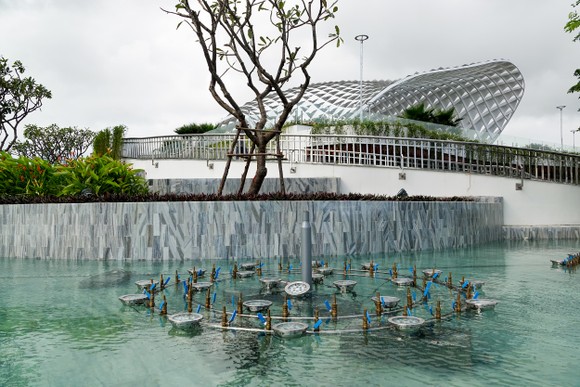 Cận cảnh công viên APEC mở rộng Đà Nẵng ảnh 14
