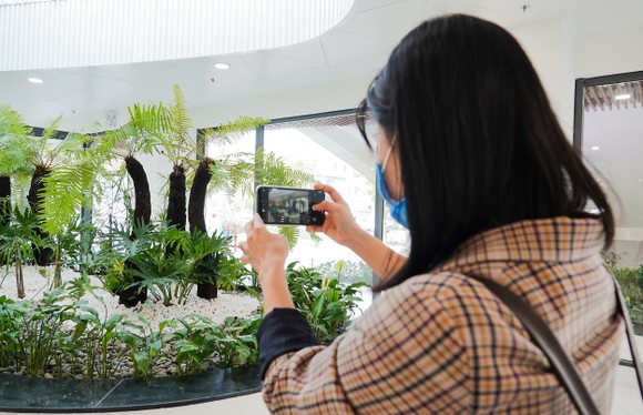 Khánh thành Vườn tượng APEC mở rộng - điểm nhấn xanh, mới của TP Đà Nẵng ảnh 3