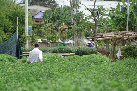 Huyện Hòa Vang: Không giải quyết hồ sơ chuyển mục đích sử dụng đất nông nghiệp