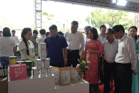 Kinh tế Đà Nẵng sôi động nhìn từ ngành dịch vụ và bán lẻ ảnh 2