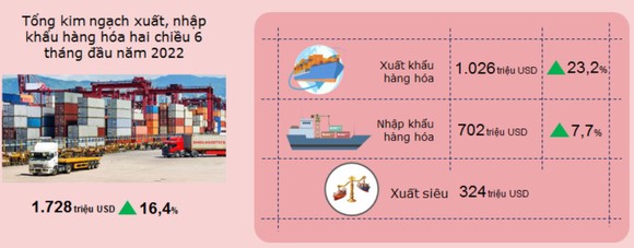 Doanh nghiệp Đà Nẵng tìm giải pháp đẩy mạnh xuất khẩu ảnh 3