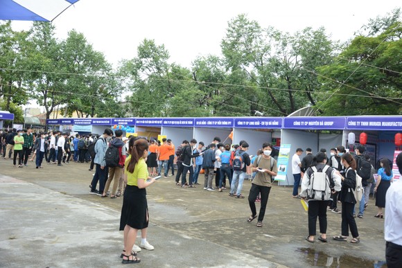 Đà Nẵng: Hơn 7.600 vị trí việc làm cho sinh viên, người lao động ảnh 1