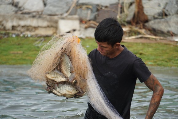 Đà Nẵng: 'Săn' cá sau bão số 4 ảnh 7