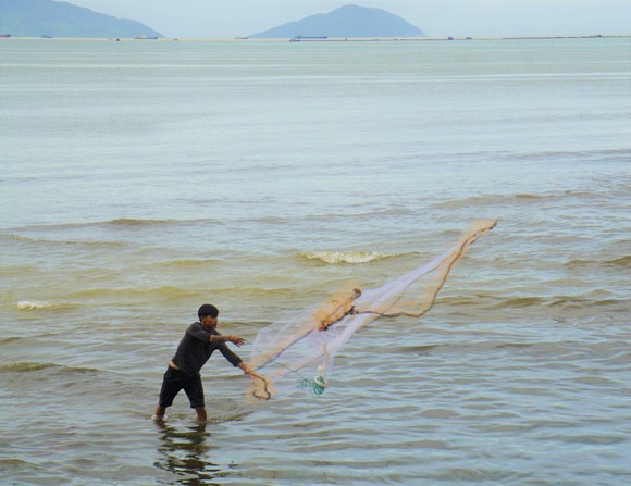 Đà Nẵng: 'Săn' cá sau bão số 4 ảnh 3