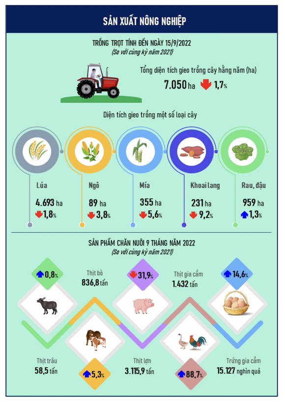 Đà Nẵng: CPI 9 tháng tăng 3,08% so với cùng kỳ năm 2021 ảnh 5