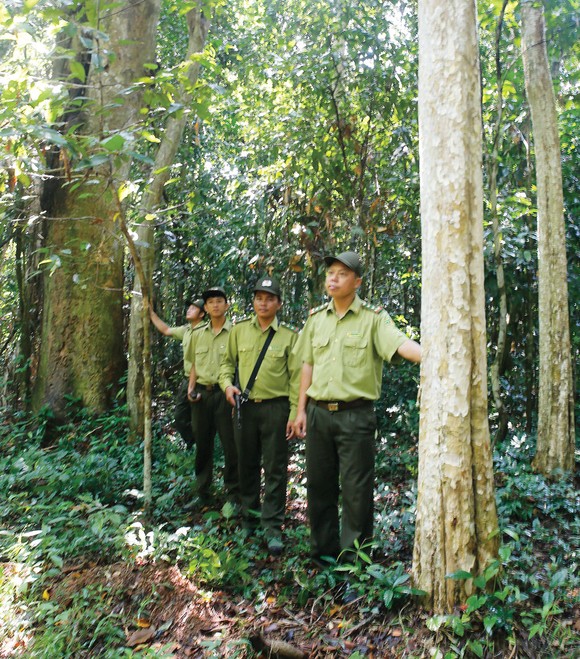 Rong ruổi chiến khu Đ ảnh 1
