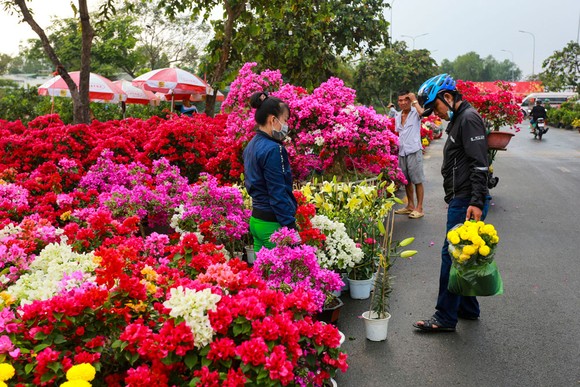 Chợ hoa Xuân Bình Điền 2021: Trăm hoa đua sắc! ảnh 3