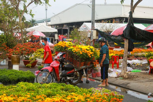 Chợ hoa Xuân Bình Điền 2021: Trăm hoa đua sắc! ảnh 1
