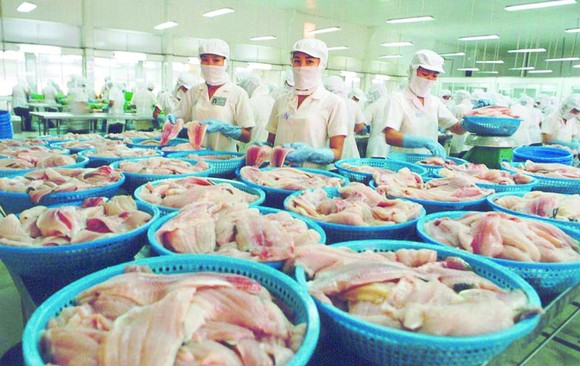 Nhiều doanh nghiệp sản xuất lương thực, thực phẩm tăng công suất, tăng nguồn cung ứng vào thị trường. (Chế biến thực phẩm tại Công ty CP Hải sản Sài Gòn)