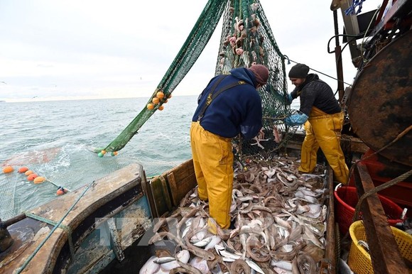 EU đồng thuận về hạn ngạch đánh bắt cá năm 2022. Ảnh: AFP/TTXVN
