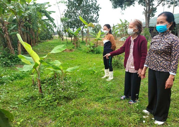 Bà Nguyễn Thị Nhung bên diện tích đất vườn hiến chuẩn bị mở đường
