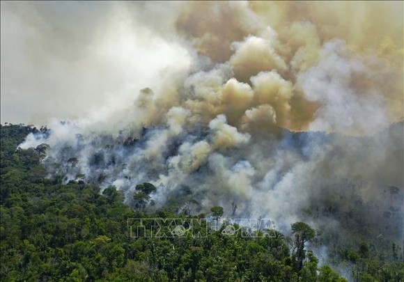 Khói bốc lên từ đám cháy rừng Amazon ở Novo Progresso, bang Para, Brazil. Ảnh: AFP/TTXVN
