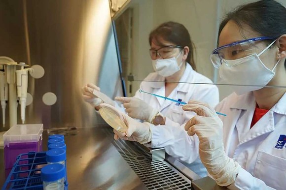 Singapore thu hút nhiều nhân tài làm việc trong ngành khoa học y sinh