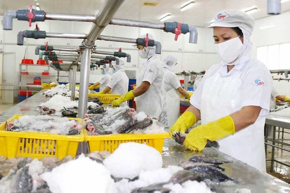 Nhóm hàng thủy hải sản của Việt Nam xuất khẩu vào EU có mức tăng trưởng vượt bậc. Ảnh: HOÀNG HÙNG