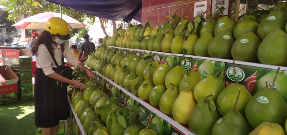 Giá bưởi Tân Triều tăng, hút hàng trên thị trường ảnh 7