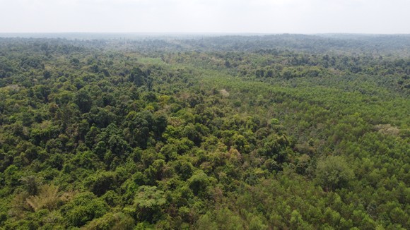 Phản hồi bài viết Băn khoăn vị trí dự kiến xây cầu Mã Đà: Phải bảo vệ nghiêm ngặt hệ sinh thái rừng ảnh 3