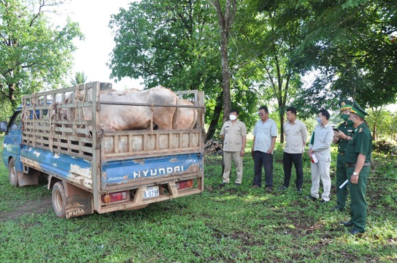 Bộ Quốc phòng Việt Nam và Campuchia trao tặng bò giống và học bổng cho người nghèo ảnh 2
