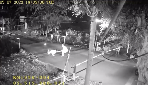 Đồng Nai: Đề nghị khen thưởng đột xuất cho nhân viên đường sắt dũng cảm cứu người ảnh 2