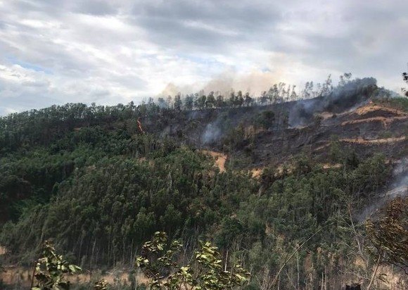 Quảng Nam: Phát hiện một người tử vong trong vụ cháy rừng keo ảnh 1