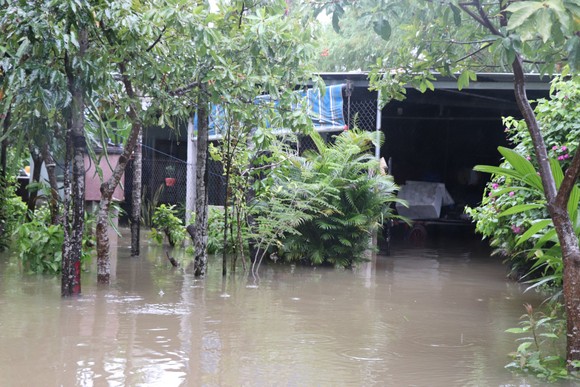 Nhiều nơi tại Quảng Nam bị ngập cục bộ do ảnh hưởng bão số 5 ảnh 2