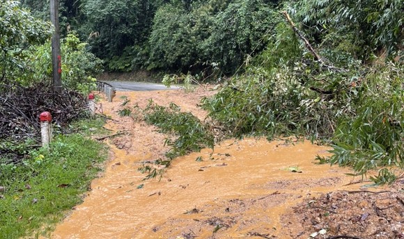 Quảng Nam: Mưa lớn gây sạt lở nhiều nơi tại huyện Nam Trà My ảnh 3
