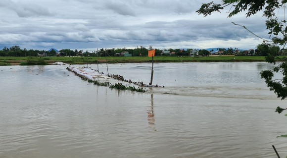Mưa lớn làm vỡ đập tạm ngăn mặn trên sông Vĩnh Điện