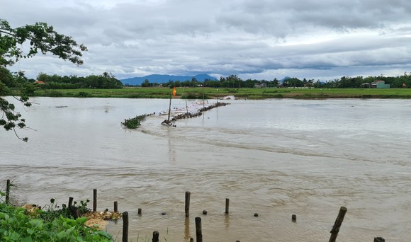 Quảng Nam: Mưa lớn làm vỡ đập tạm ngăn mặn trên sông Vĩnh Điện ảnh 1