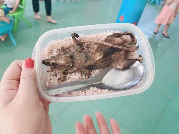 Xác minh vụ 'hộp cơm thịt chuột cho học sinh' tại huyện vùng cao Quảng Nam ảnh 1