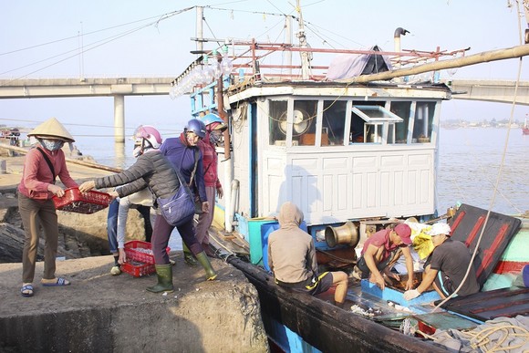 Ngư dân Quảng Trị được mùa cá cơm sau Tết Nguyên đán ảnh 1