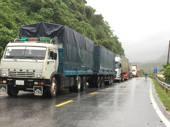 Quảng Nam lo sạt lở, Quảng Trị di dời khẩn hàng ngàn dân ảnh 10