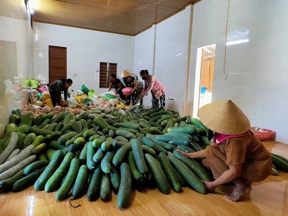 Người dân Quảng Trị góp rau, củ, quả gửi tặng người dân TPHCM ảnh 1