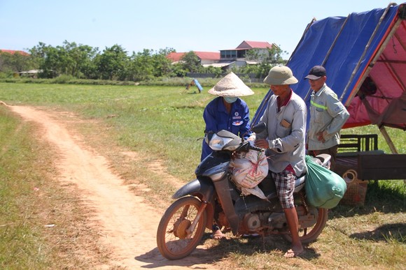 Trồng dưa hấu trên đất lúa mùa khô hạn cho thu nhập cao ảnh 6