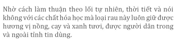 Mùa thu hoạch rau liệt bên giếng cổ ngàn năm ảnh 11