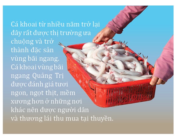 Vào vụ cá khoai, ngư dân Quảng Trị thu tiền triệu mỗi ngày ảnh 10
