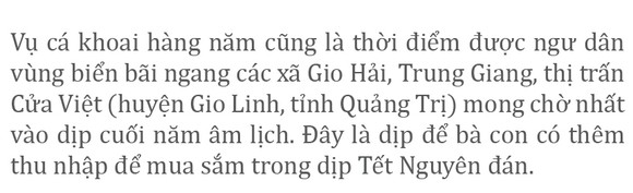 Vào vụ cá khoai, ngư dân Quảng Trị thu tiền triệu mỗi ngày ảnh 2