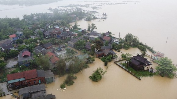 Quảng Trị: Mưa lũ cực đoan, dị thường gây thiệt hại nặng nề cho sản xuất nông nghiệp ảnh 2