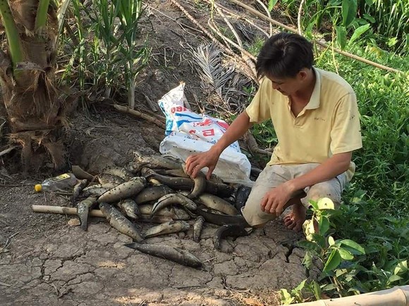 Hậu Giang: Dòng nước đen “bí hiểm” lan rộng! ảnh 2