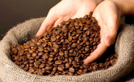Doanh thu xuất khẩu cà phê của Brazil đạt 5,2 tỷ USD