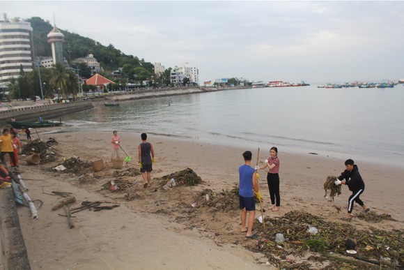 Mùa Hè đi nhặt rác ảnh 8