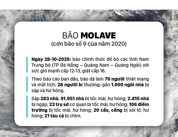 Những cơn bão lớn đổ bộ Việt Nam trong 20 năm qua ảnh 2