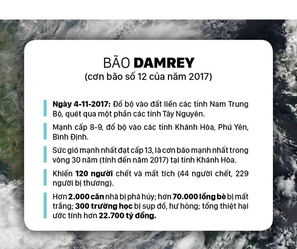 Những cơn bão lớn đổ bộ Việt Nam trong 20 năm qua ảnh 5