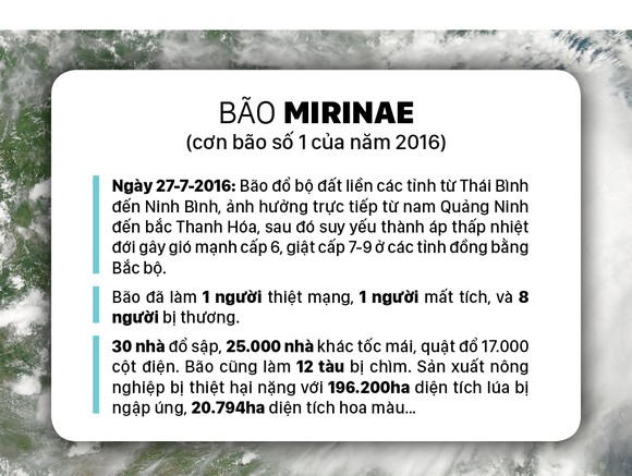 Những cơn bão lớn đổ bộ Việt Nam trong 20 năm qua ảnh 9