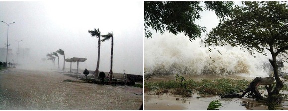 Những cơn bão lớn đổ bộ Việt Nam trong 20 năm qua ảnh 21