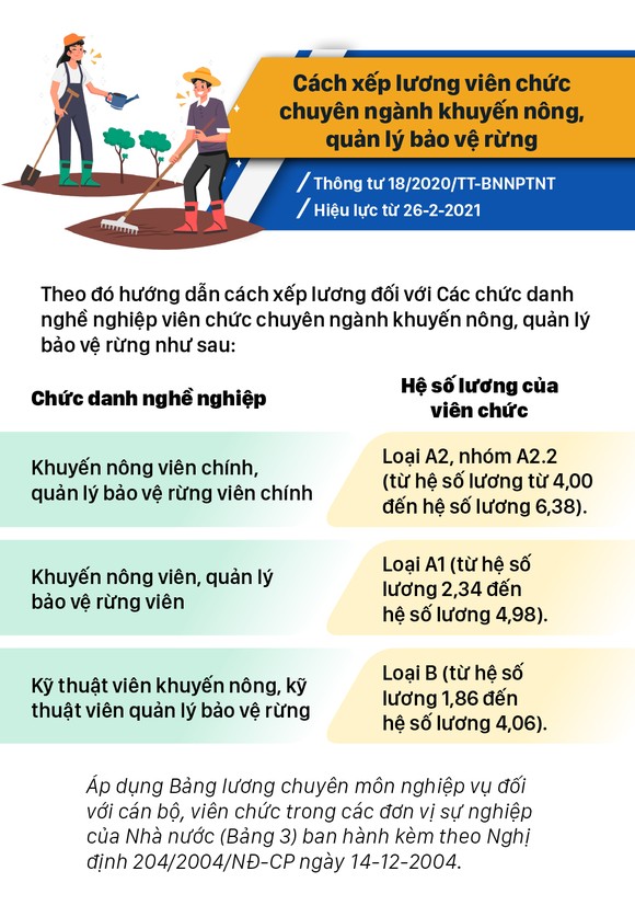 Những chính sách có hiệu lực từ tháng 2-2021 ảnh 10