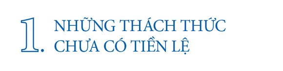 TP Hồ Chí Minh vẫn giữ vững đầu tàu kinh tế cả nước ảnh 2