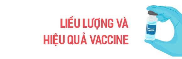 Tiêm vaccine Covid-19 cho trẻ từ 5-11 tuổi: Chú trọng an toàn, hiệu quả ảnh 13