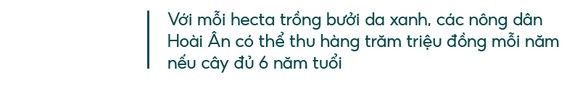 Những 'ông vua' cây ăn quả ở Hoài Ân, Bình Định ảnh 10