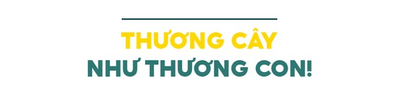 Những 'ông vua' cây ăn quả ở Hoài Ân, Bình Định ảnh 11
