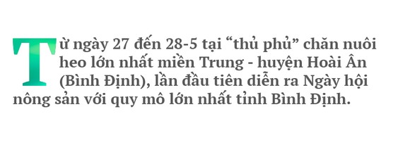Hoài Ân – Bình Định: Tìm hướng đi bền vững cho nông sản ảnh 1